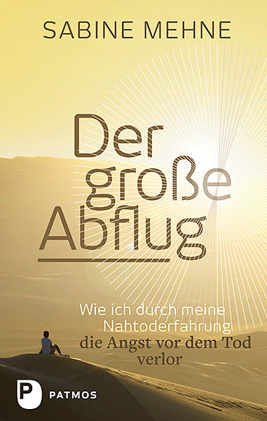 Cover: 9783843608343 | Der große Abflug | Sabine Mehne | Buch | 288 S. | Deutsch | 2016