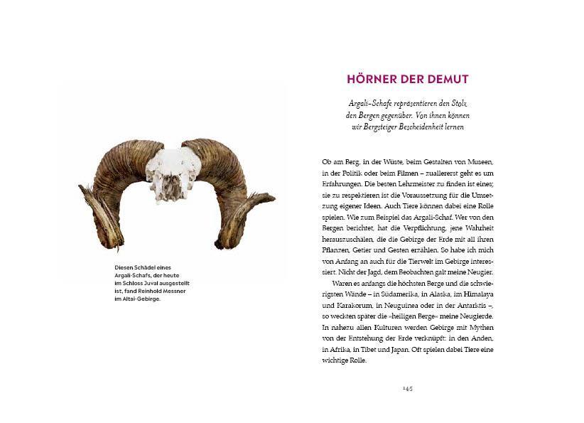 Bild: 9783711200402 | Pickel, Seil &amp; Mauerhaken | Reinhold Messner | Buch | 184 S. | Deutsch