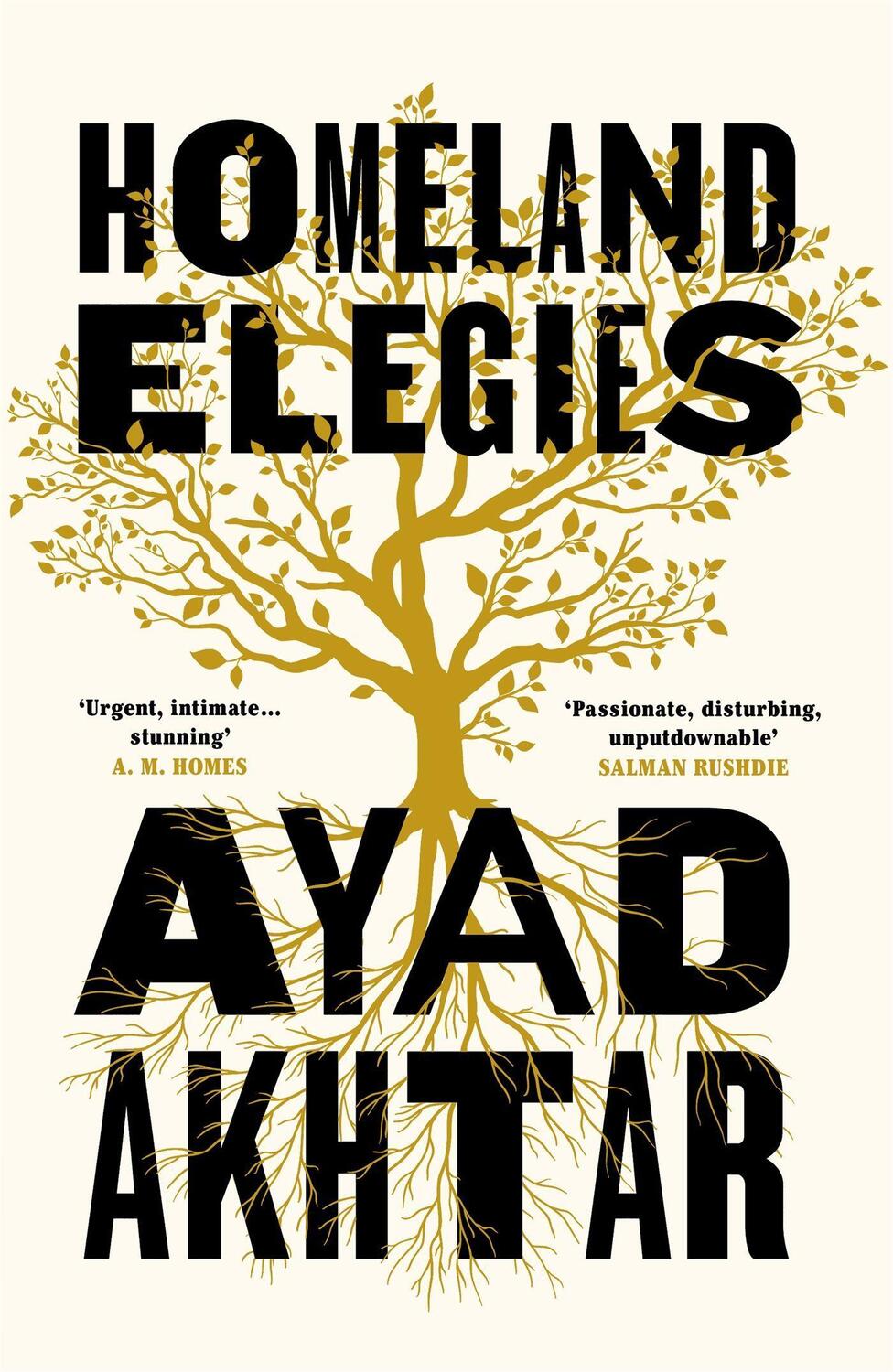 Cover: 9781472276872 | Homeland Elegies | A Barack Obama Favourite Book | Ayad Akhtar | Buch