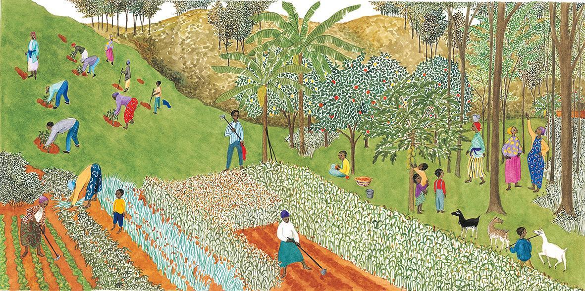 Bild: 9783772521478 | Bäume für Kenia | Die Geschichte der Wangari Maathai | Nivola | Buch
