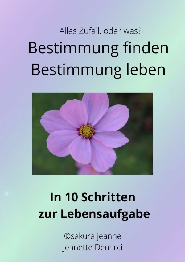 Cover: 9783753161624 | Alles Zufall, oder was? | Bestimmung finden - Bestimmung leben | Buch