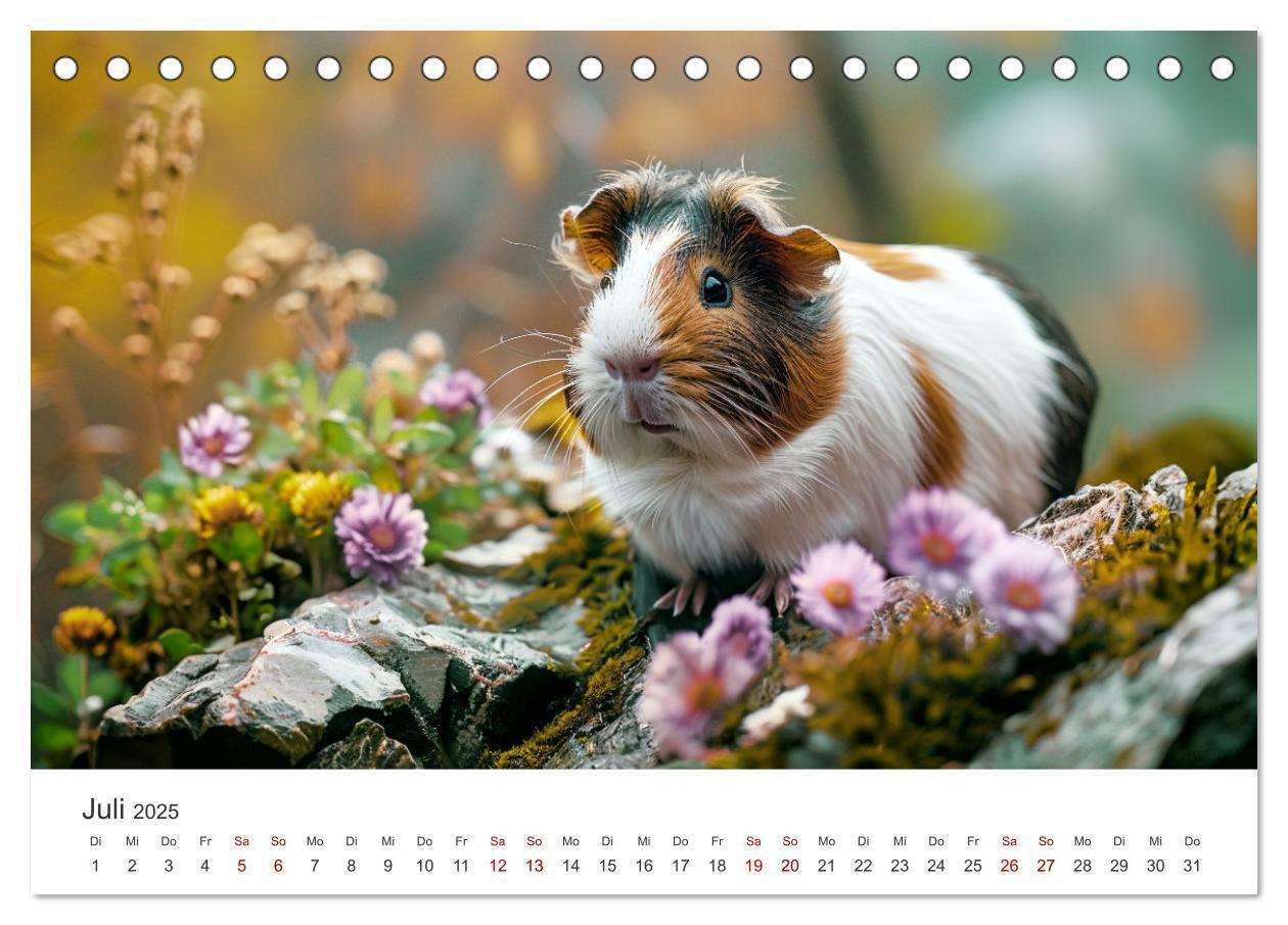 Bild: 9783383812378 | Wuschelbande - Ein Jahr voller Meerschweinchen (Tischkalender 2025...