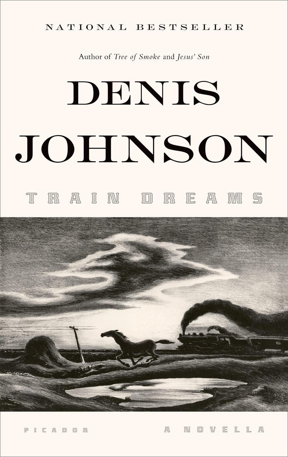 Cover: 9781250007650 | Train Dreams | A Novella | Denis Johnson | Taschenbuch | 116 S. | 2012