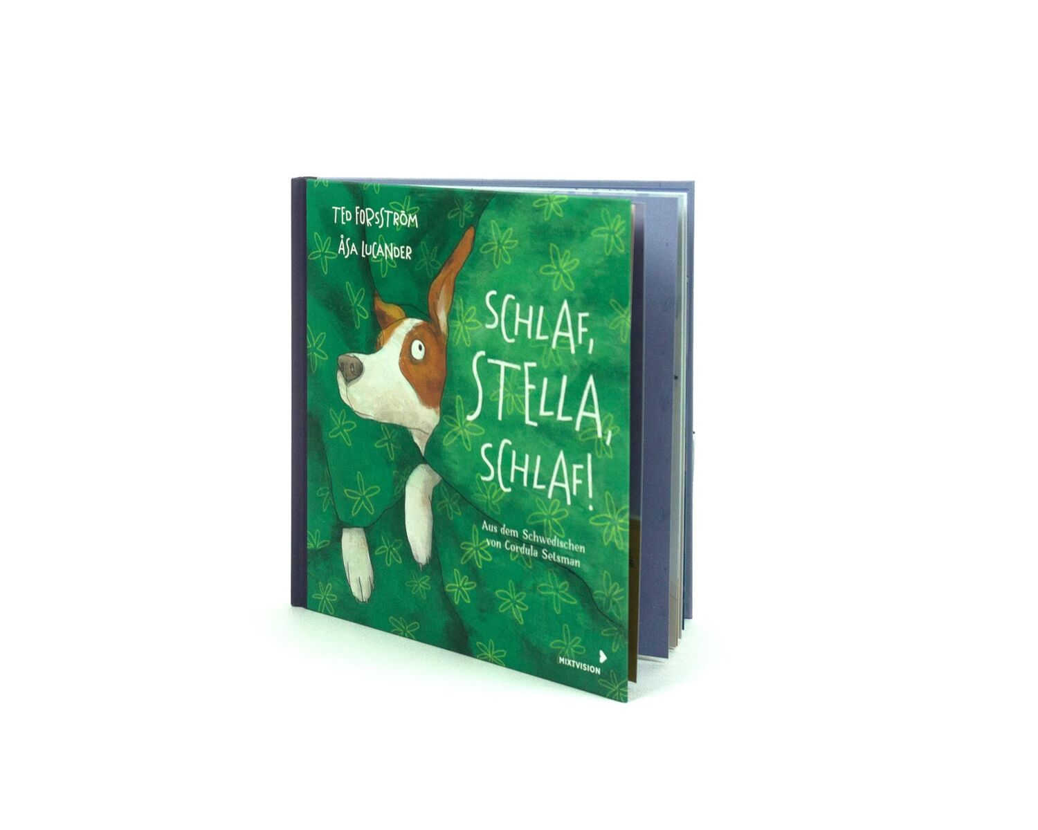 Bild: 9783958542259 | Schlaf, Stella, schlaf! | Ted Forsström | Buch | 40 S. | Deutsch