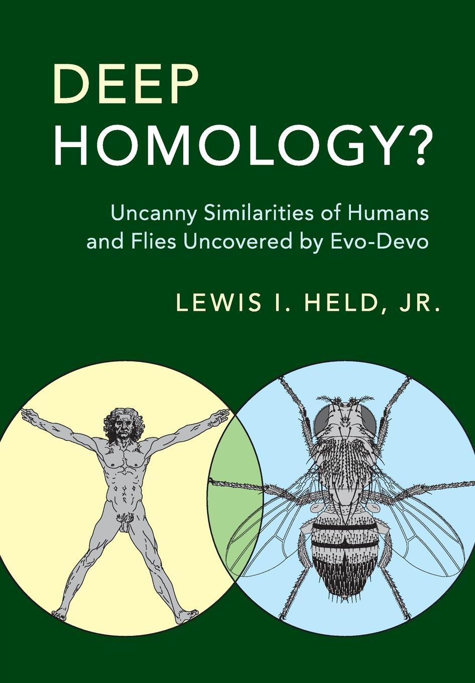 Cover: 9781316601211 | Deep Homology? | Jr Lewis I. Held | Taschenbuch | Paperback | Englisch