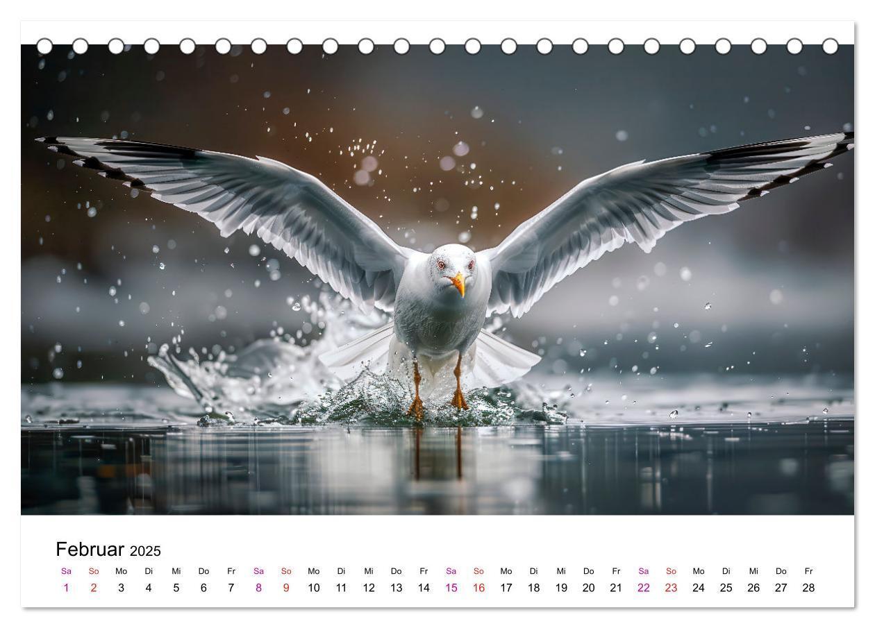 Bild: 9783457162484 | Maritim pur - Möwen (Tischkalender 2025 DIN A5 quer), CALVENDO...