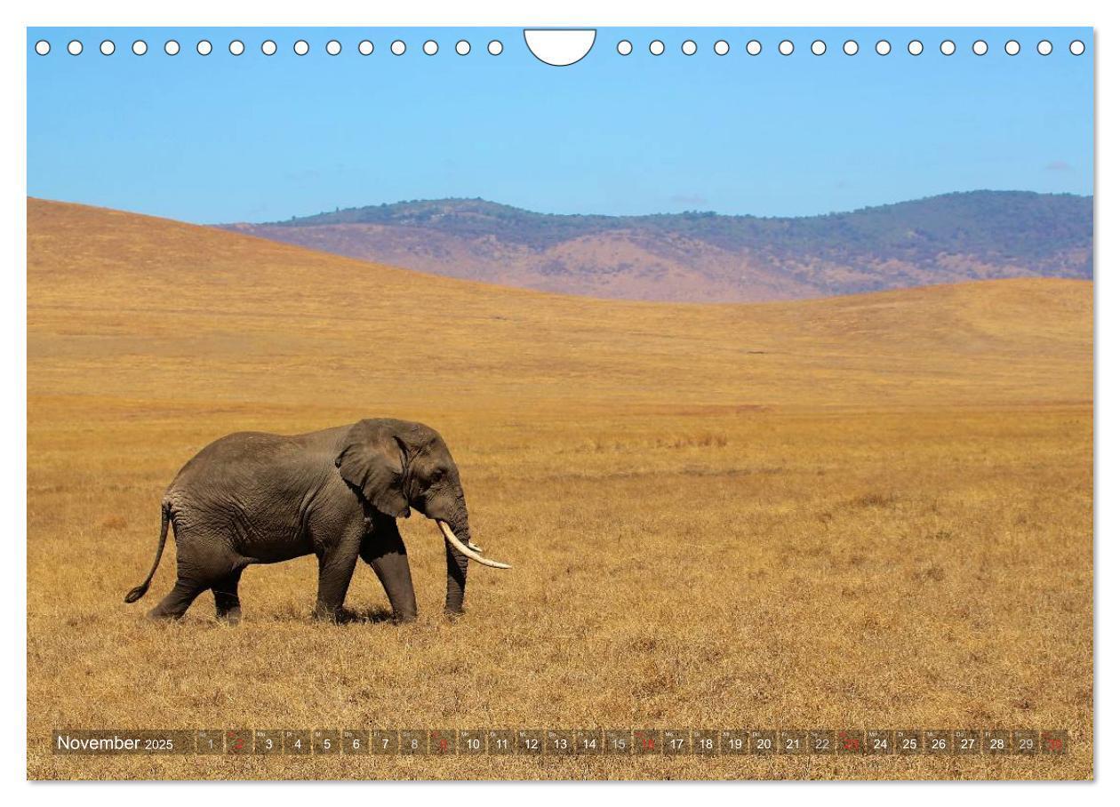 Bild: 9783435527328 | Tansania - Faszinierendes Afrika (Wandkalender 2025 DIN A4 quer),...