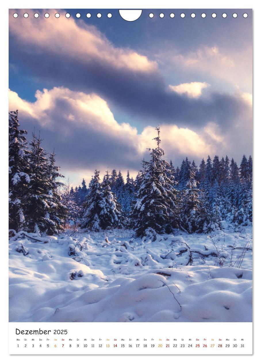 Bild: 9783435883516 | Bäume im Harz (Wandkalender 2025 DIN A4 hoch), CALVENDO Monatskalender