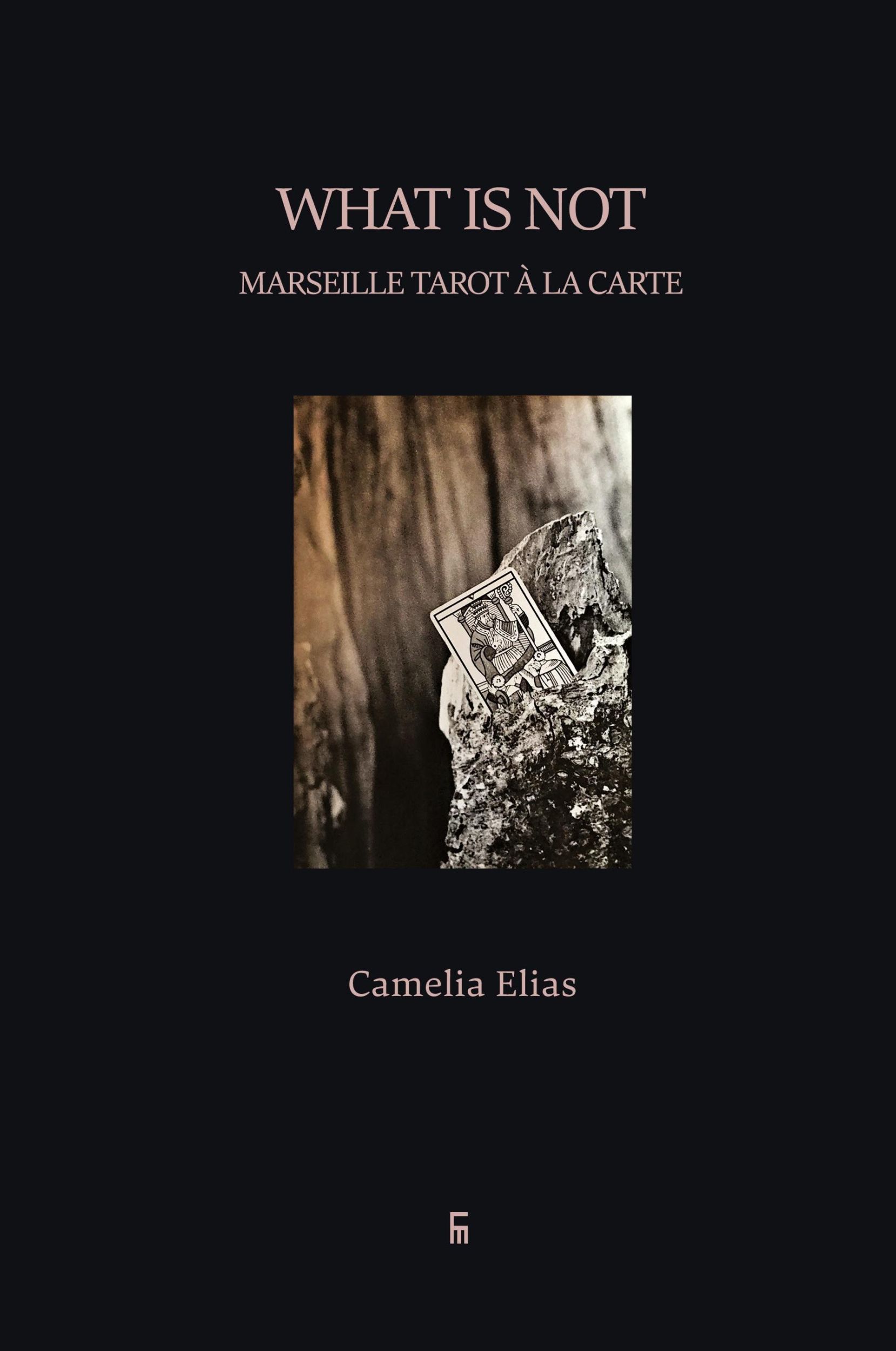 Cover: 9788792633439 | What is not | Marseille Tarot à la carte | Camelia Elias | Taschenbuch