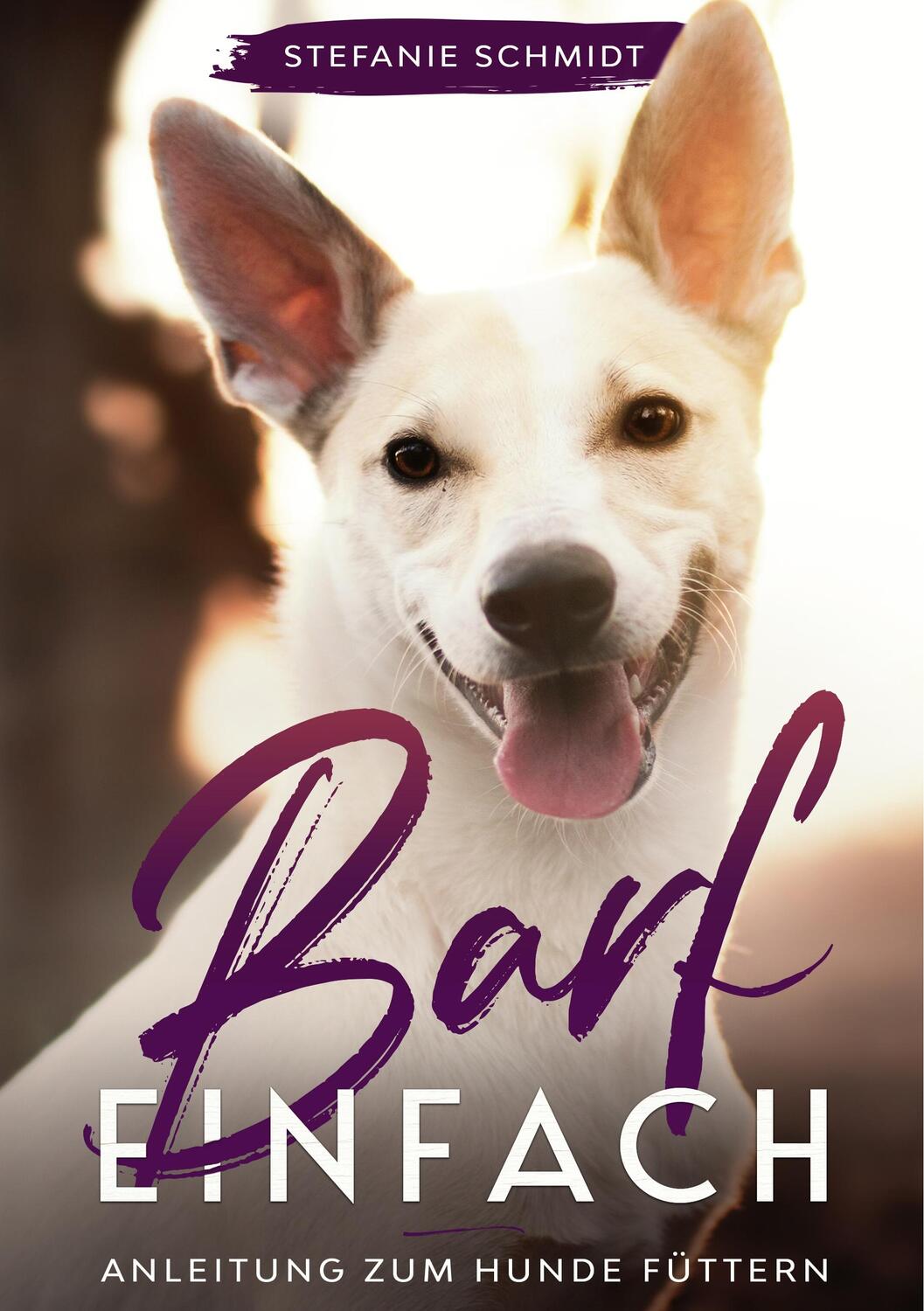 Cover: 9783752898255 | Barf einfach | Anleitung zum Hunde füttern | Stefanie Schmidt | Buch