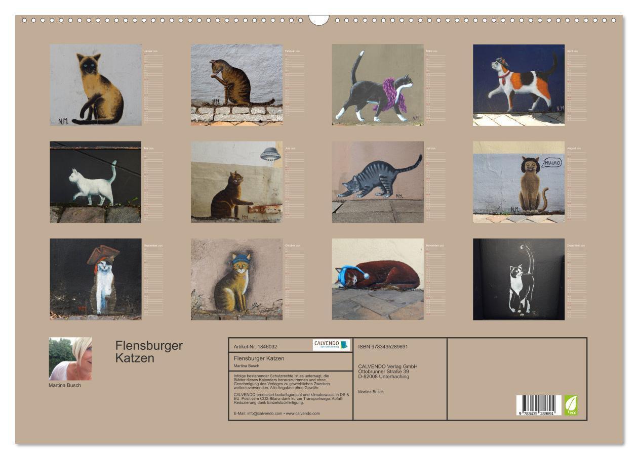 Bild: 9783435289691 | Flensburger Katzen (Wandkalender 2025 DIN A2 quer), CALVENDO...