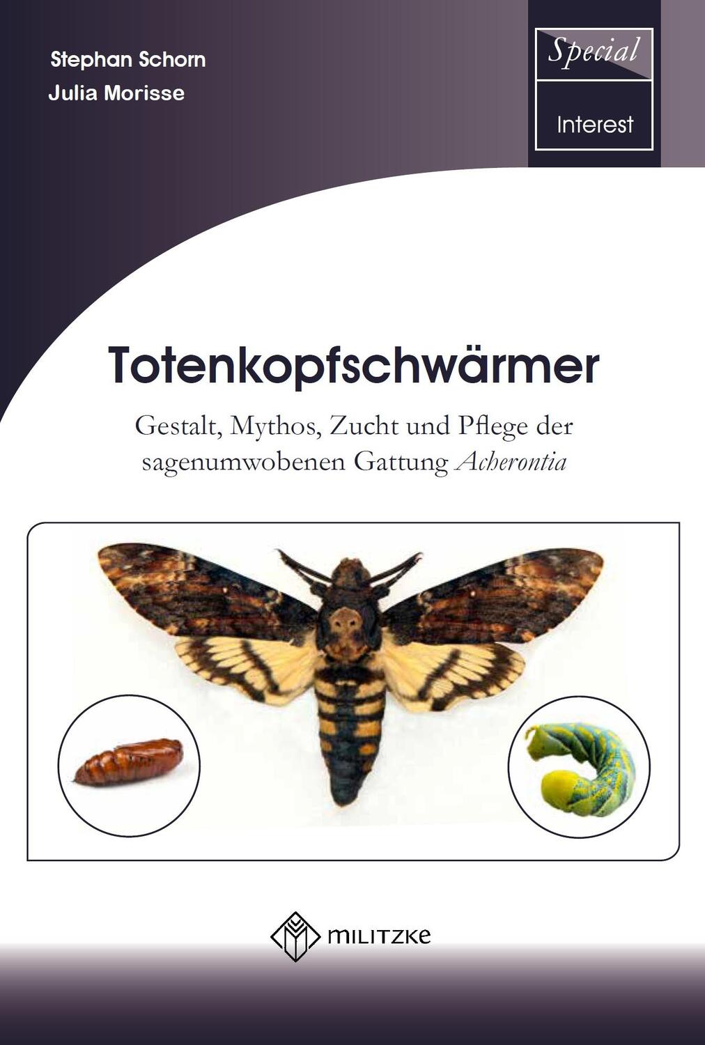 Cover: 9783894322847 | Totenkopfschwärmer | Stephan Schorn (u. a.) | Taschenbuch | Deutsch