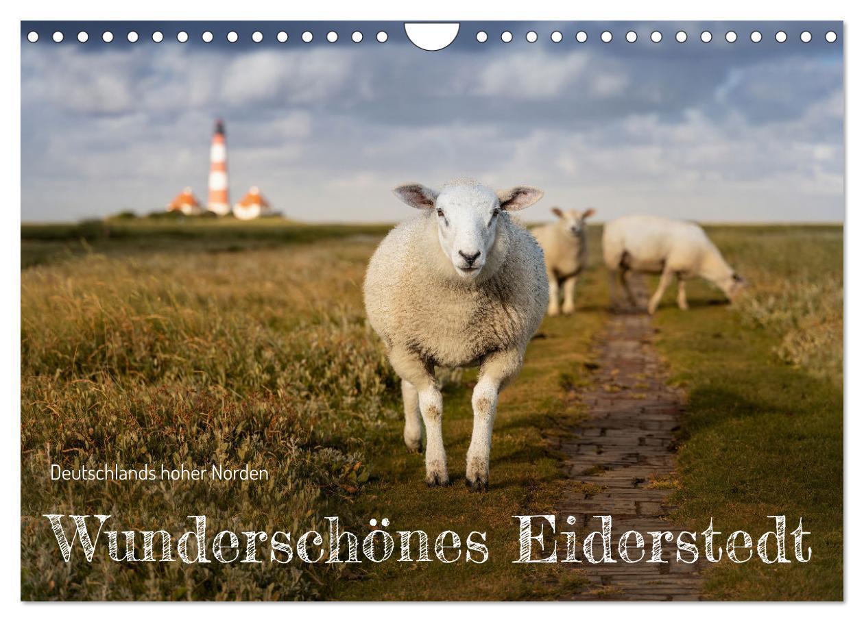 Cover: 9783383700224 | Wunderschönes Eiderstedt (Wandkalender 2024 DIN A4 quer), CALVENDO...