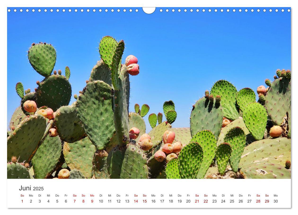 Bild: 9783435004461 | Mexiko - Eine Reise durch ein farbenfrohes Land. (Wandkalender 2025...