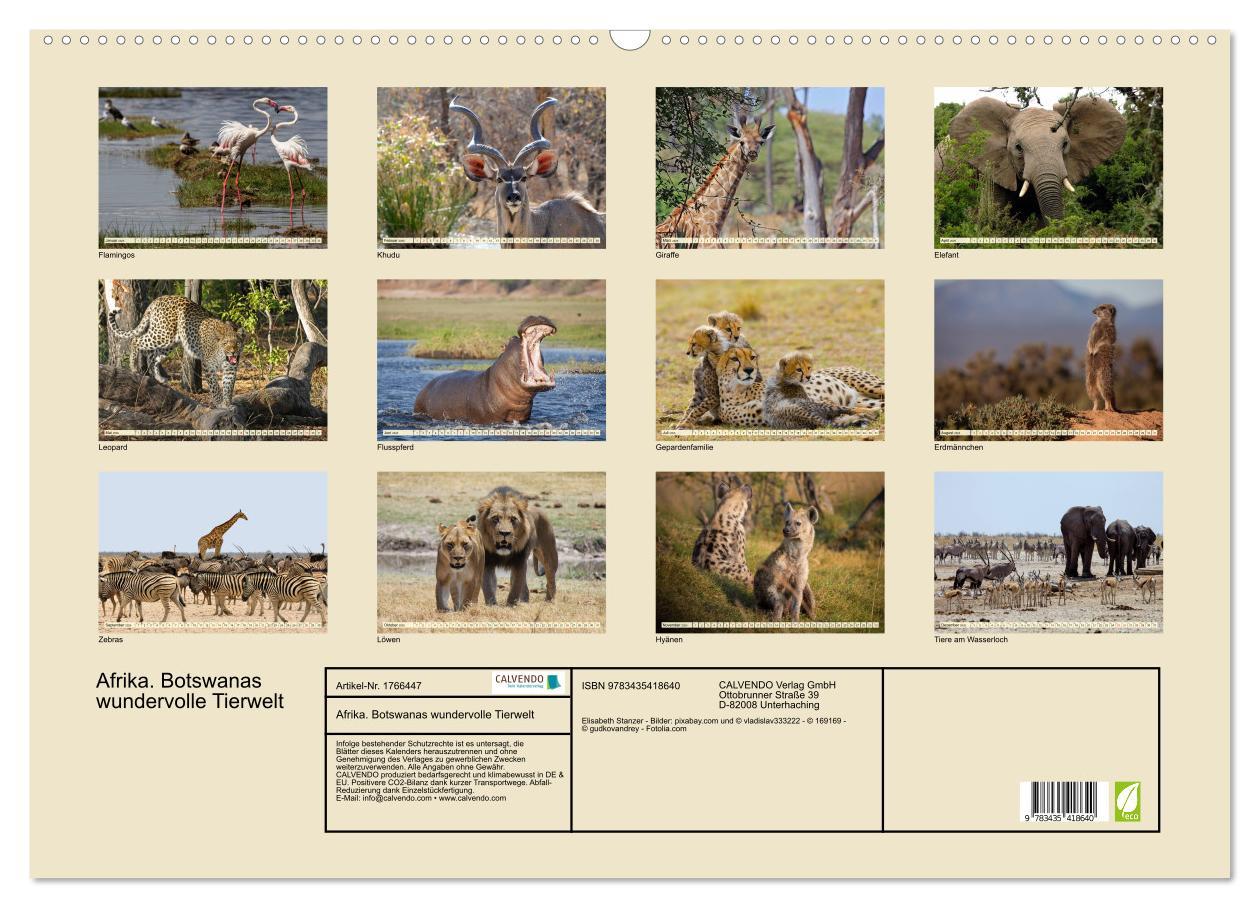 Bild: 9783435418640 | Afrika. Botswanas wundervolle Tierwelt (Wandkalender 2025 DIN A2...