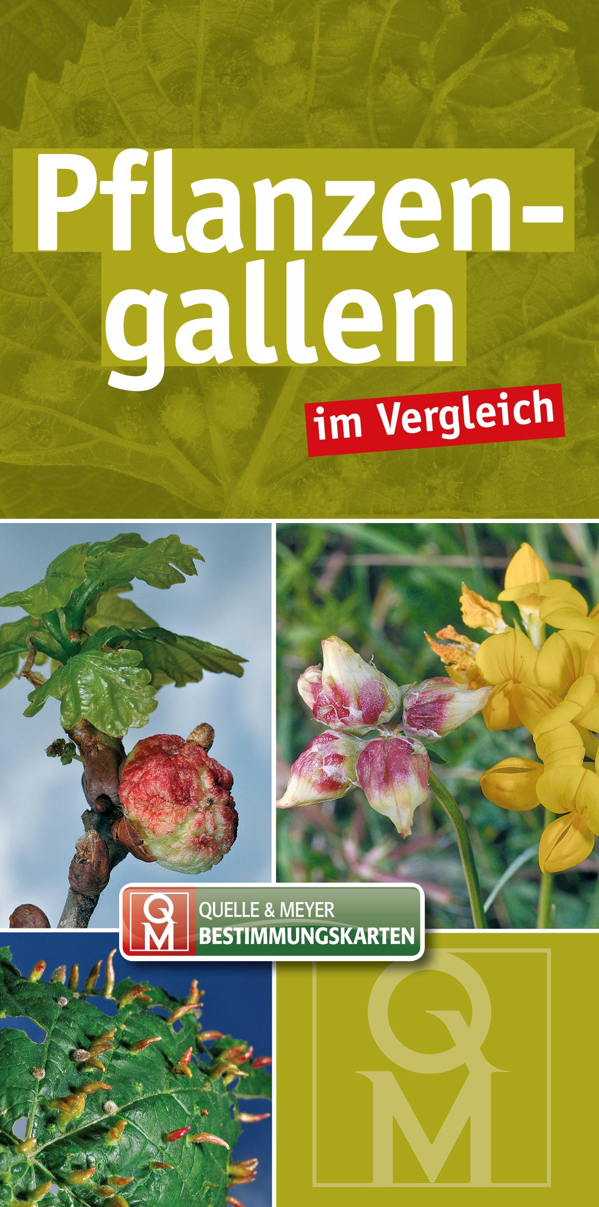 Cover: 9783494017532 | Pflanzengallen im Vergleich | Buch | Quelle &amp; Meyer Bestimmungskarten