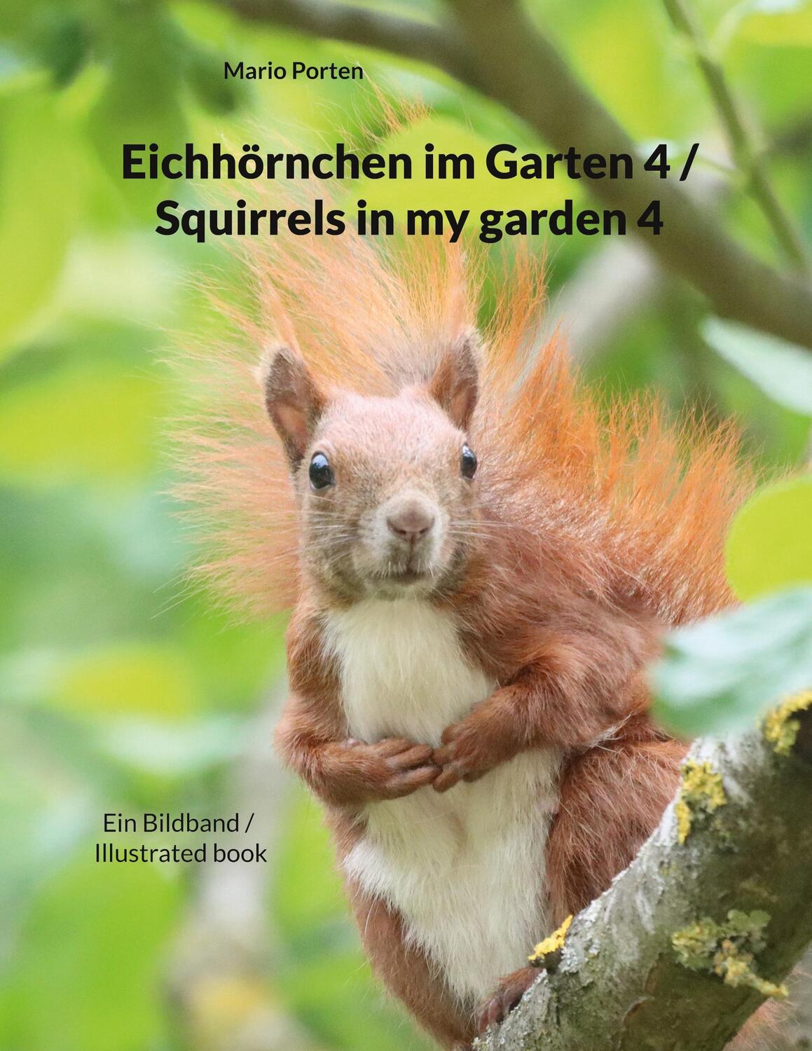 Cover: 9783756881208 | Eichhörnchen im Garten 4 / Squirrels in my garden 4 | Mario Porten