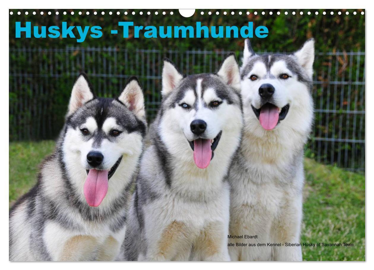 Cover: 9783675963207 | Huskys - Traumhunde (Wandkalender 2024 DIN A3 quer), CALVENDO...