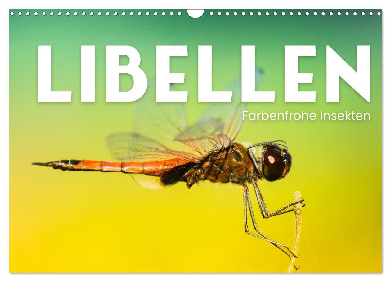Cover: 9783675434264 | Libellen - Farbenfrohe Insekten (Wandkalender 2024 DIN A3 quer),...