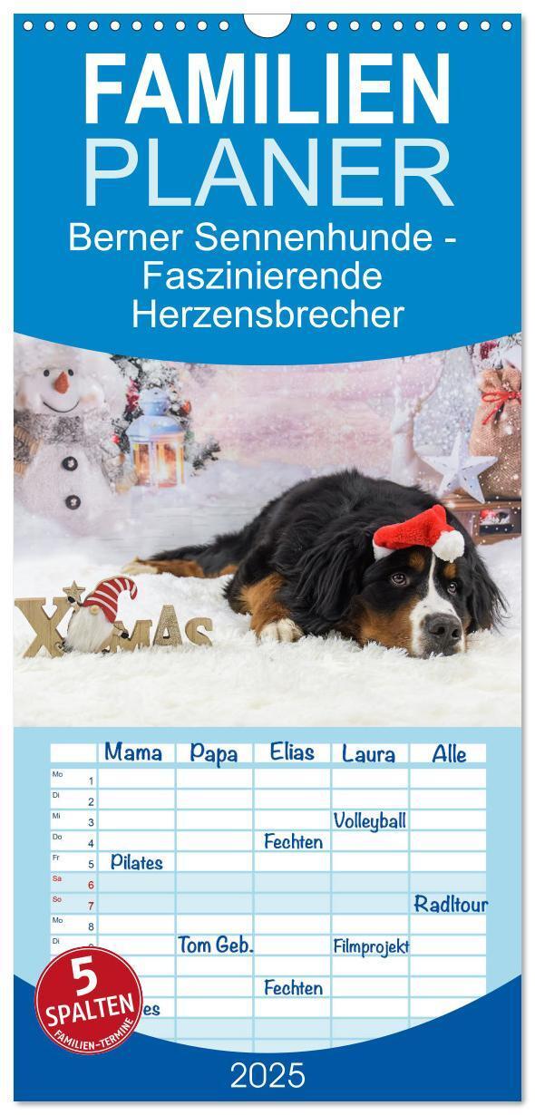 Cover: 9783457195567 | Familienplaner 2025 - Berner Sennenhunde - Faszinierende...