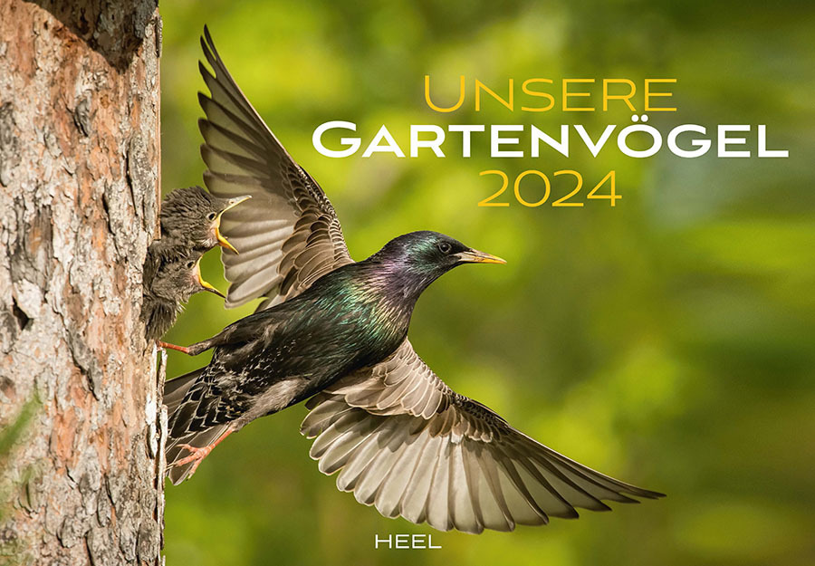 Cover: 9783966646253 | Unsere Gartenvögel Kalender 2024 | Kalender | Spiralbindung | 14 S.