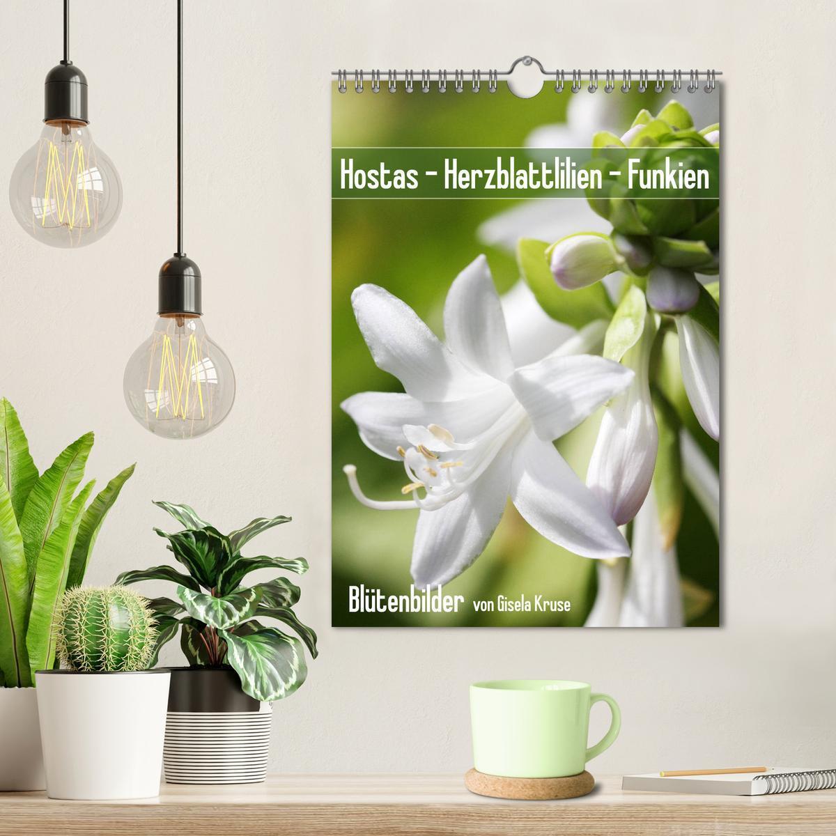 Bild: 9783435974887 | Hostas Herzblattlilien Funkien (Wandkalender 2025 DIN A4 hoch),...