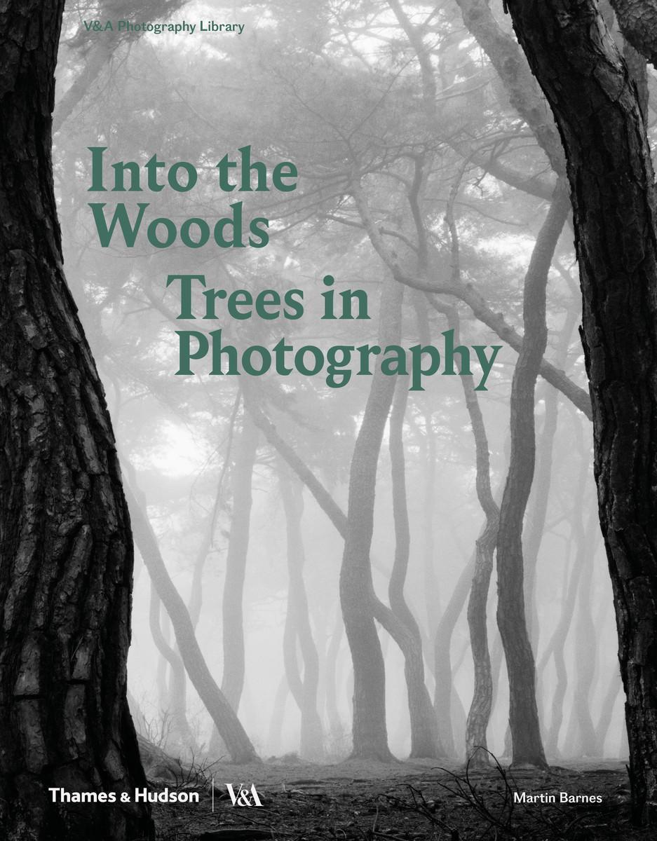Cover: 9780500480533 | Into the Woods: Trees in Photography | Trees and Photography | Barnes