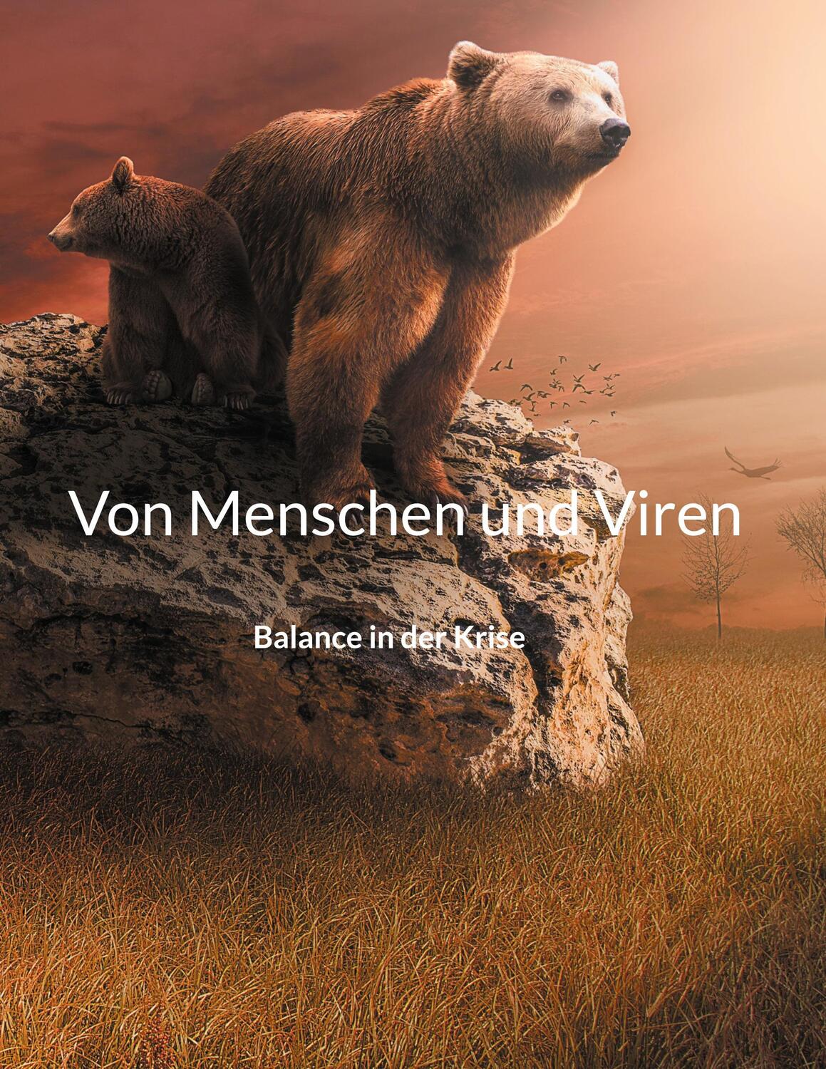 Cover: 9783754343654 | Von Menschen und Viren | Balance in der Krise | Ursula Maus | Buch