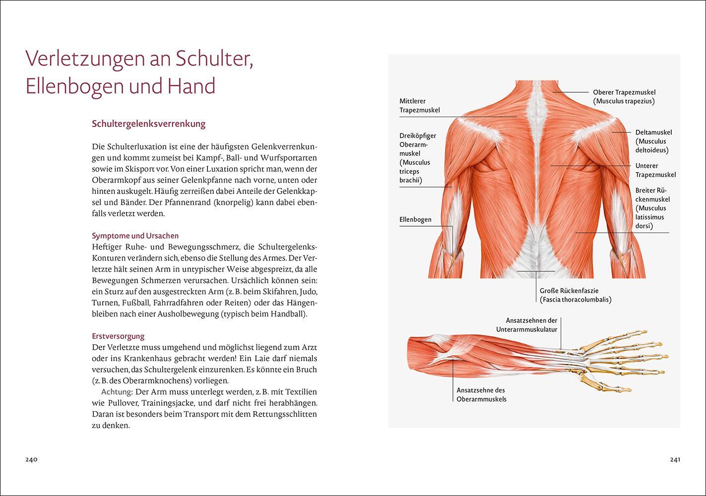 Bild: 9783458643036 | Bewegung | Das Lebenselixier für unsere Gesundheit | Müller-Wohlfahrt