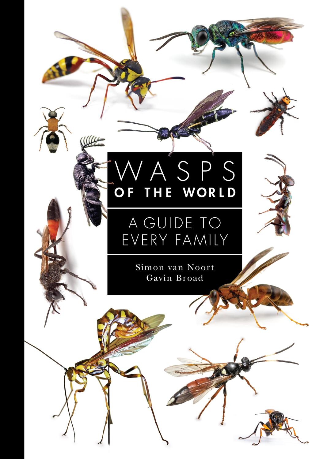 Cover: 9780691238548 | Wasps of the World | A Guide to Every Family | Gavin Broad (u. a.)