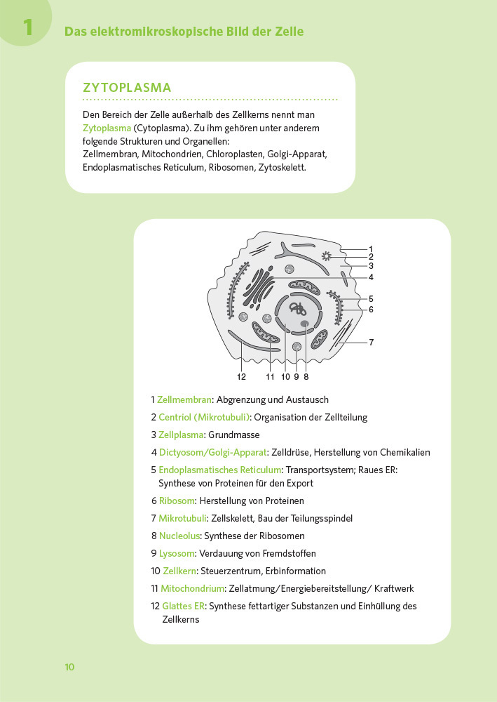 Bild: 9783125625631 | PONS Der große Abi-Check Biologie | Taschenbuch | Deutsch | 2019