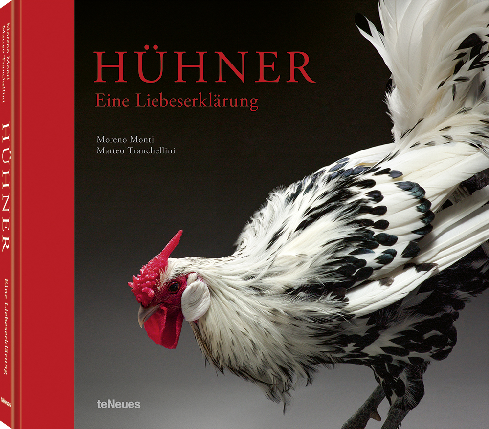 Cover: 9783961712601 | Hühner | Eine Liebeserklärung | Matteo Tranchellini (u. a.) | Buch