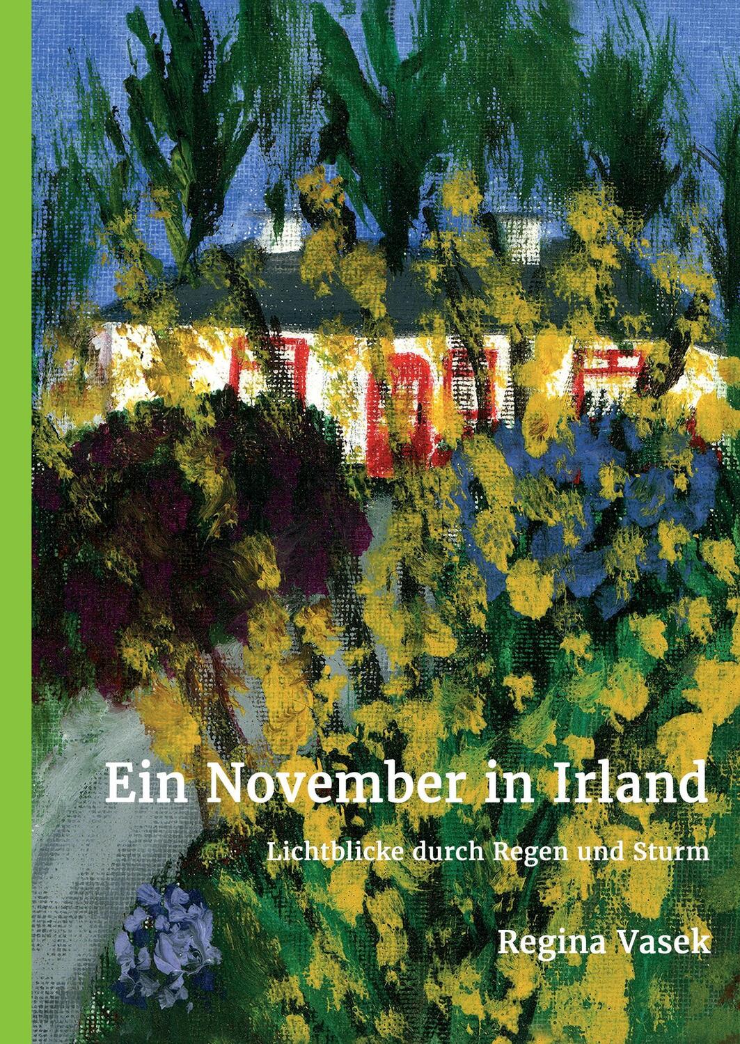 Cover: 9783734559839 | Ein November in Irland | Lichtblicke durch Regen und Sturm | Vasek