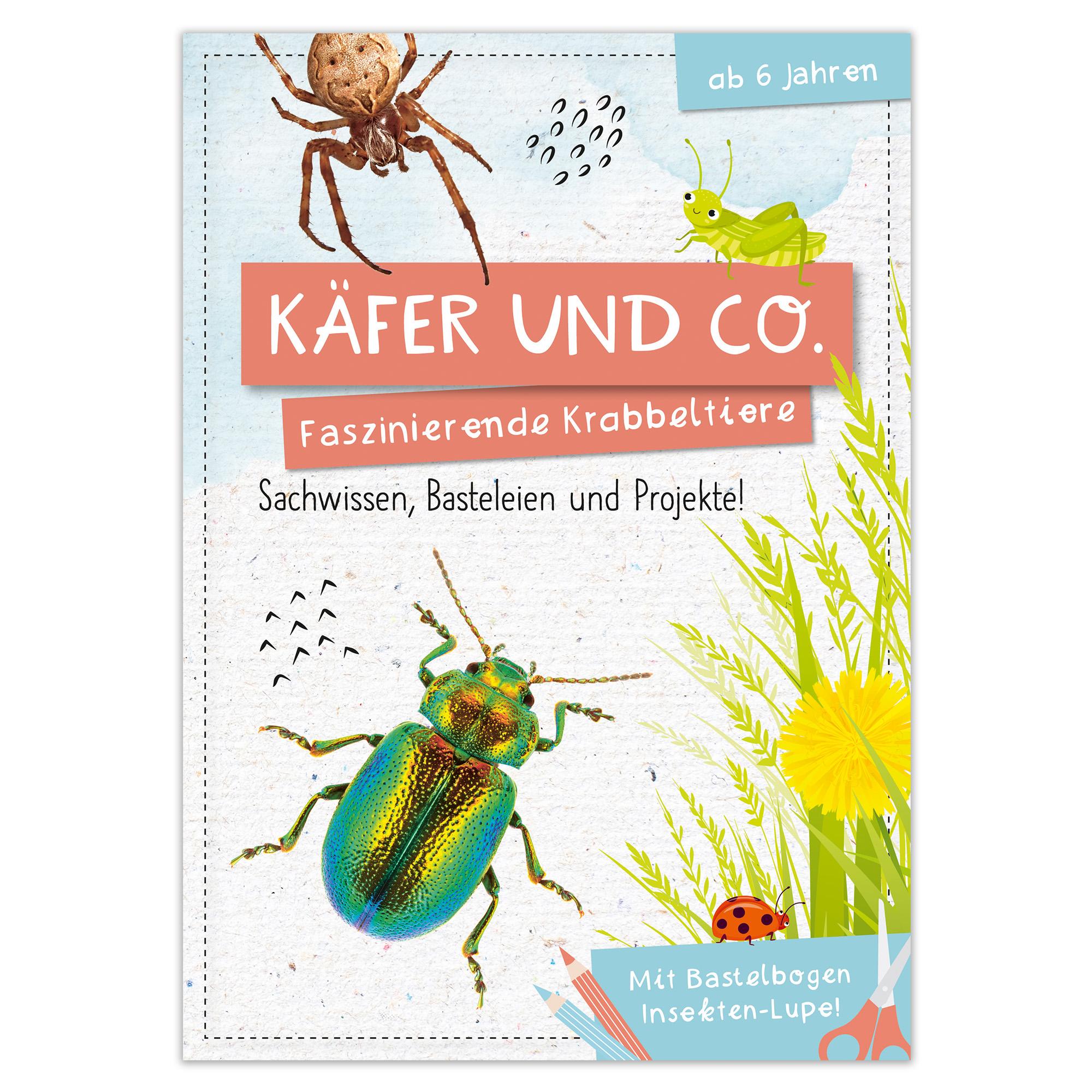 Cover: 9783963474224 | Activity Heft: Käfer und Co. | Anna Linstadt | Taschenbuch | 48 S.