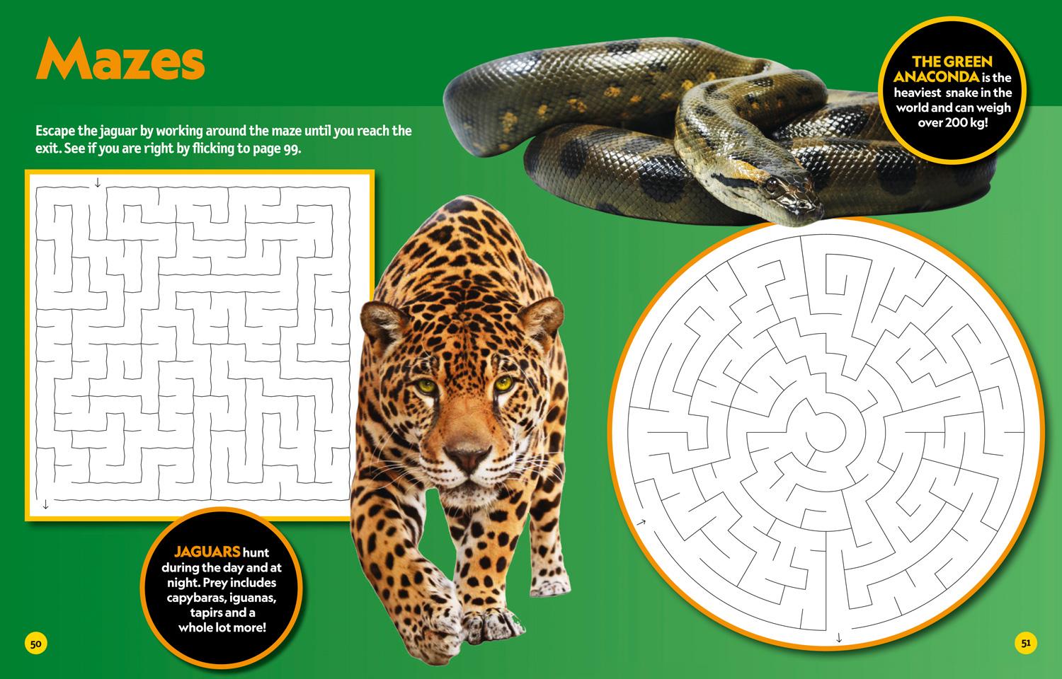 Bild: 9780008430511 | Puzzle Book Deadly Creatures | National Geographic Kids | Taschenbuch