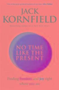 Cover: 9781846045431 | No Time Like the Present | Finding Freedom and Joy Where You Are