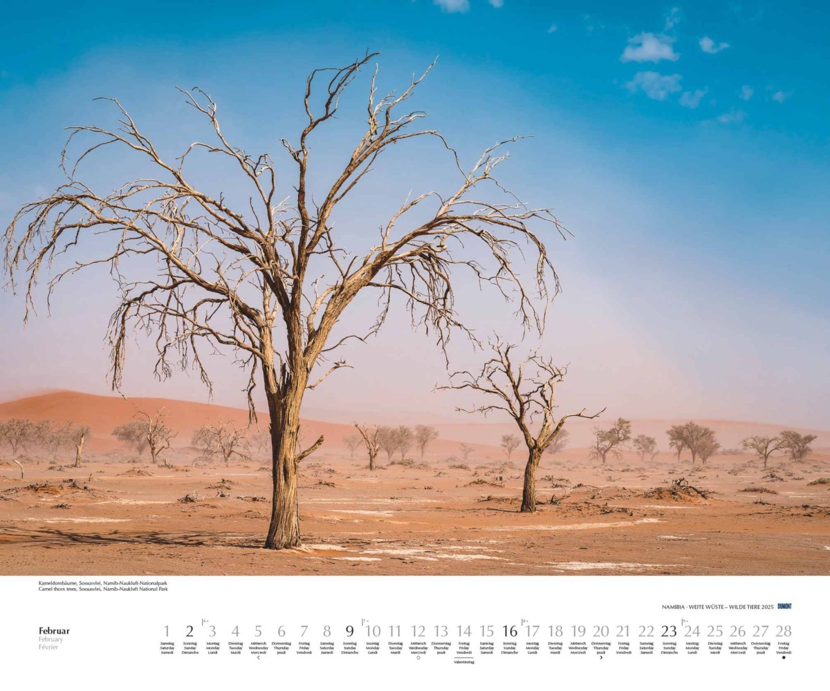 Bild: 4250809653761 | DUMONT - Namibia 2025 Wandkalender, 60x50cm, Fotokunst-Kalender mit...