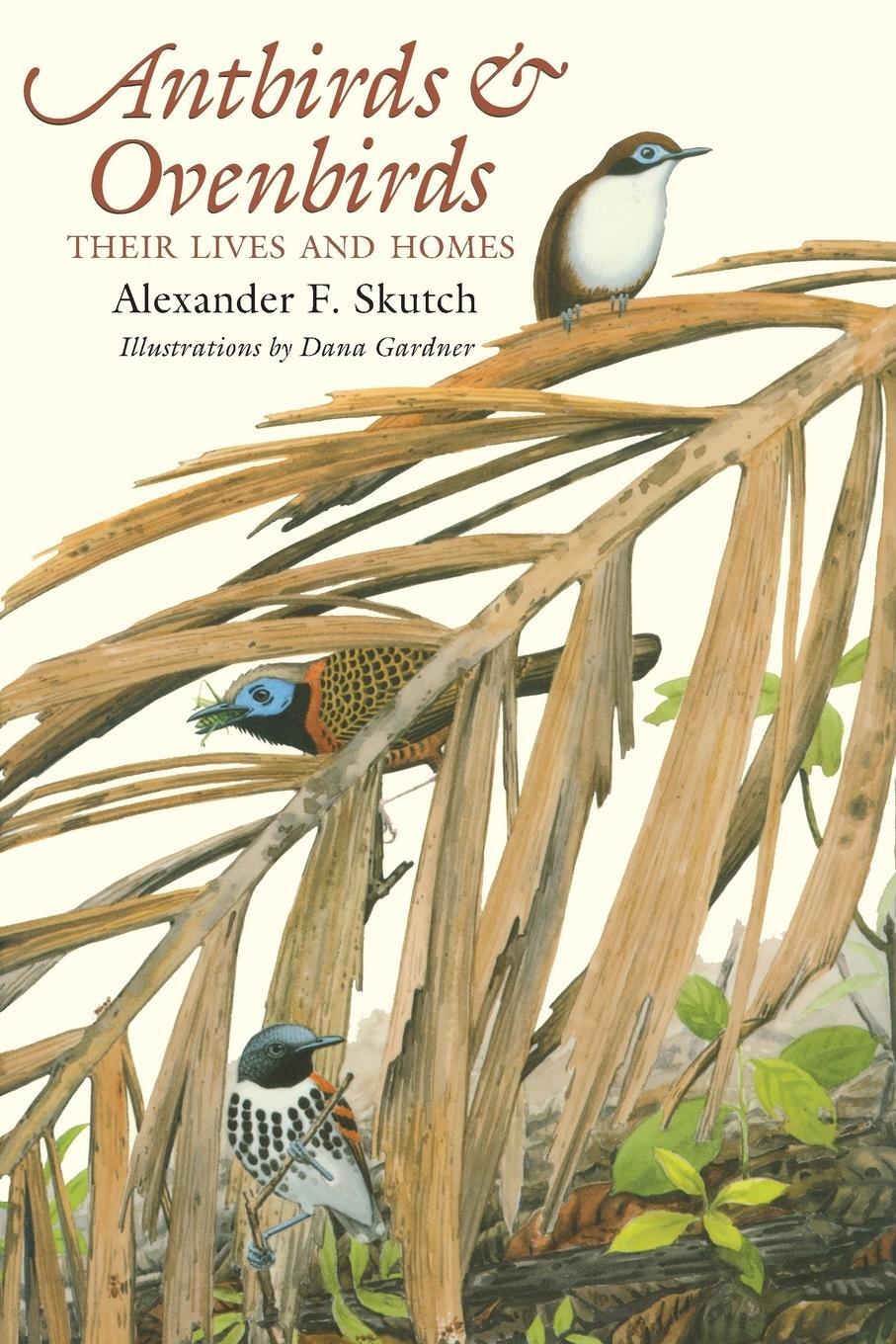 Cover: 9780292777057 | Antbirds and Ovenbirds | Their Lives and Homes | Alexander F. Skutch