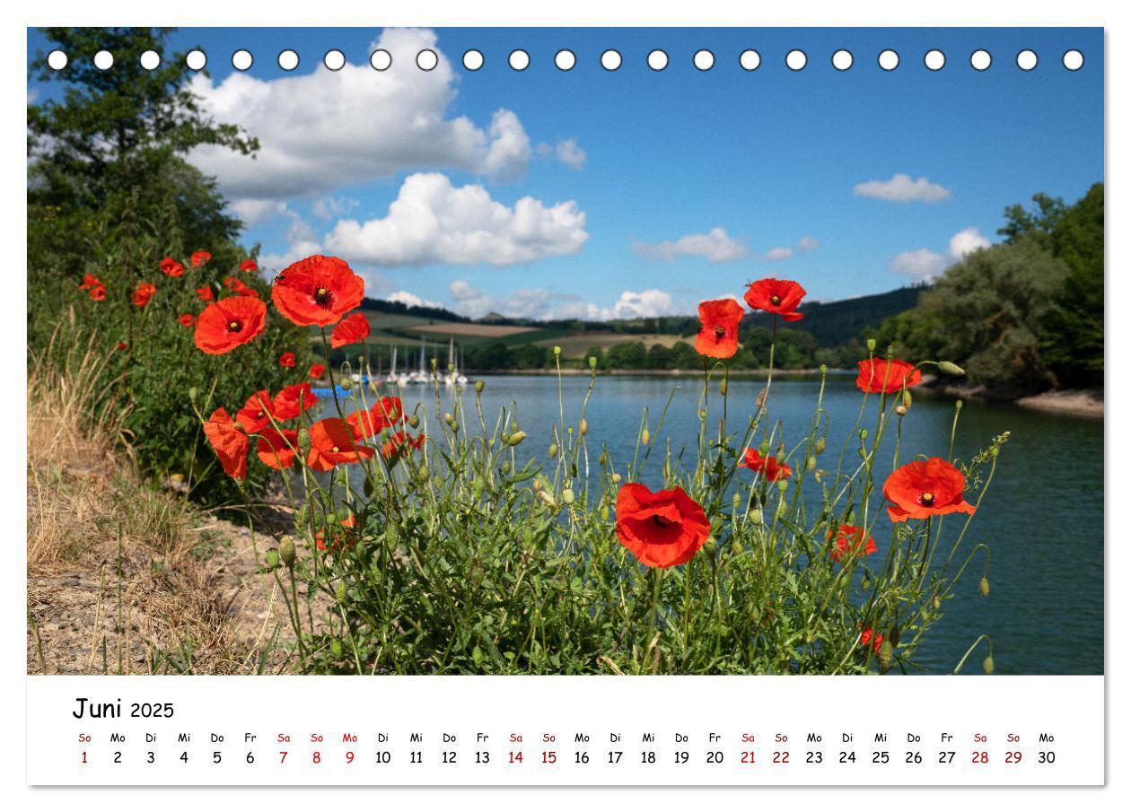 Bild: 9783383897573 | Heimat Entdecken: Sauerland (Tischkalender 2025 DIN A5 quer),...