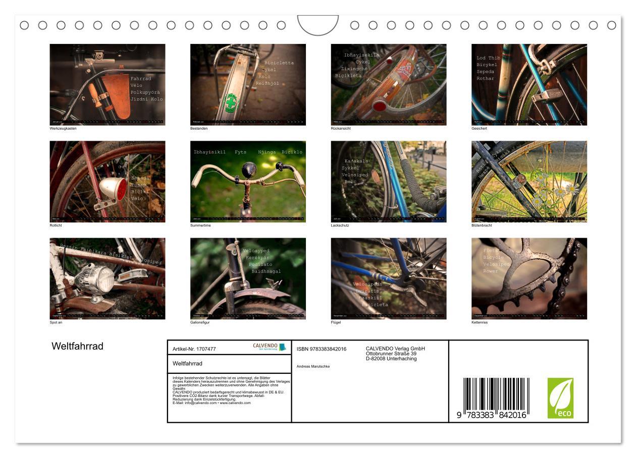 Bild: 9783383842016 | Weltfahrrad (Wandkalender 2025 DIN A4 quer), CALVENDO Monatskalender