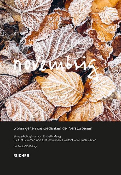 Cover: 9783990186930 | novembrig | Elsbeth Maag | Buch | LXIV | Deutsch | 2023