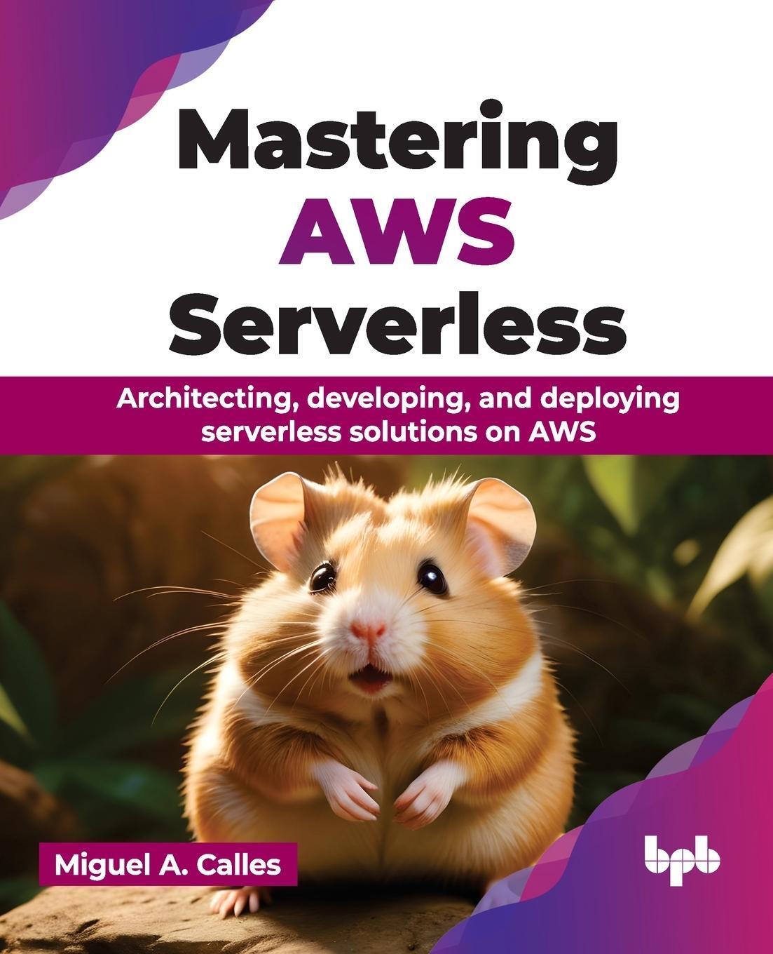 Cover: 9789355516114 | Mastering AWS Serverless | Miguel A. Calles | Taschenbuch | Paperback
