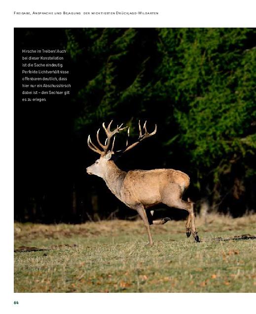 Bild: 9783958439535 | Drückjagd | Von der perfekten Vorbereitung bis zum Jagdkönig | Buch