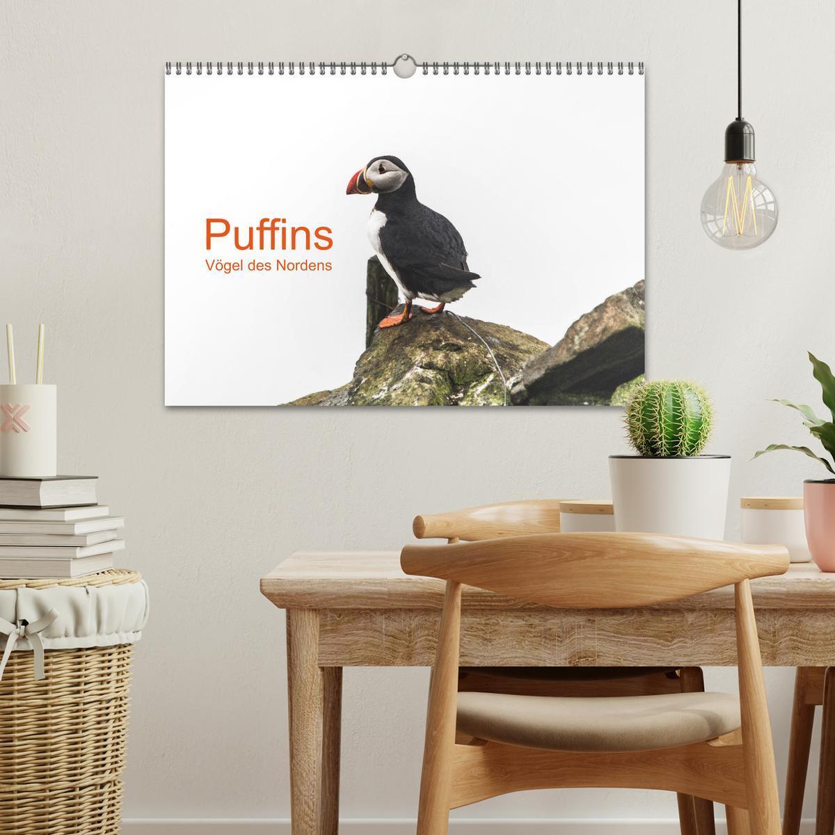 Bild: 9783435410675 | Puffins - Vögel des Nordens (Wandkalender 2025 DIN A3 quer),...