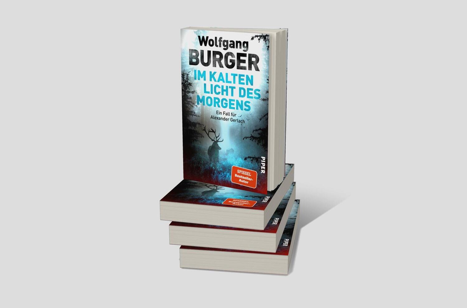 Bild: 9783492064408 | Im kalten Licht des Morgens | Wolfgang Burger | Taschenbuch | 368 S.