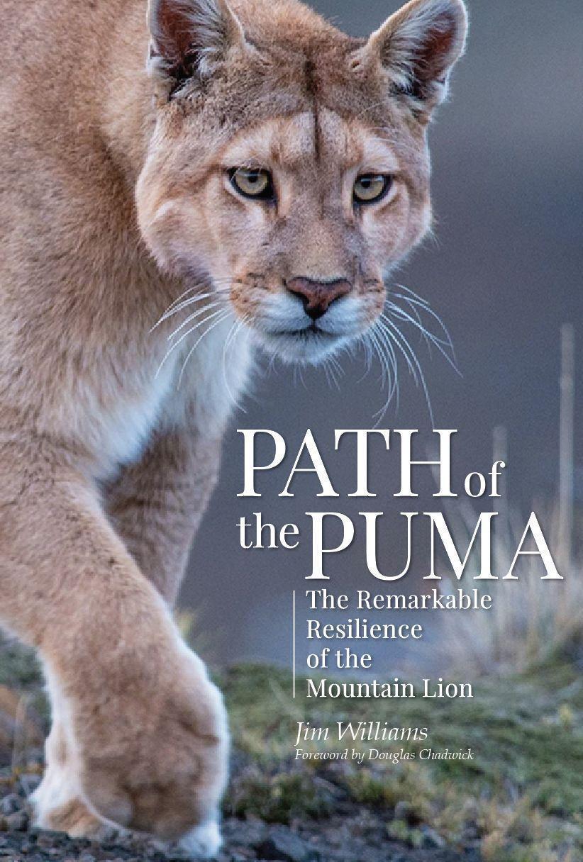 Cover: 9781938340727 | Path of the Puma: The Remarkable Resilience of the Mountain Lion
