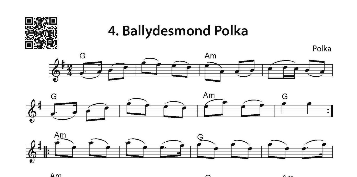 Bild: 9783869475554 | Das Irish Fiddle Buch. 101 Session Tunes für Violine. | Martin (u. a.)