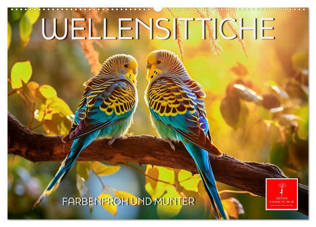 Cover: 9783383649196 | Wellensittiche farbenfroh und munter (Wandkalender 2024 DIN A2...