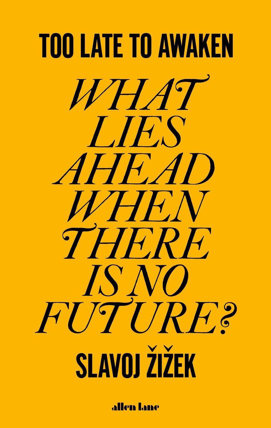 Cover: 9780241651759 | Too Late to Awaken | What Lies Ahead When There is no Future? | Zizek