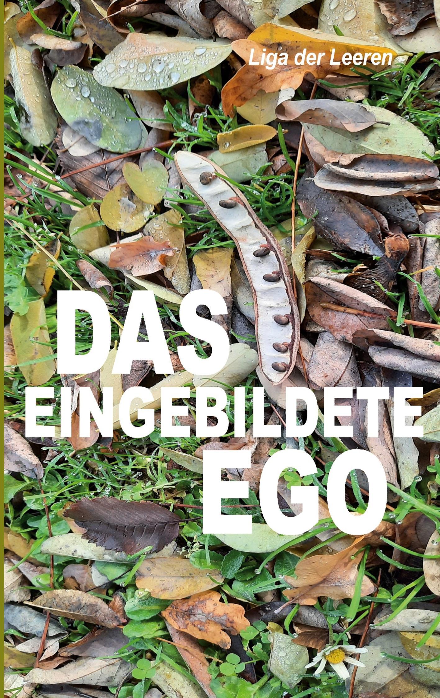 Cover: 9783769338225 | Das eingebildete Ego | Peter Zellin (u. a.) | Taschenbuch | 28 S.